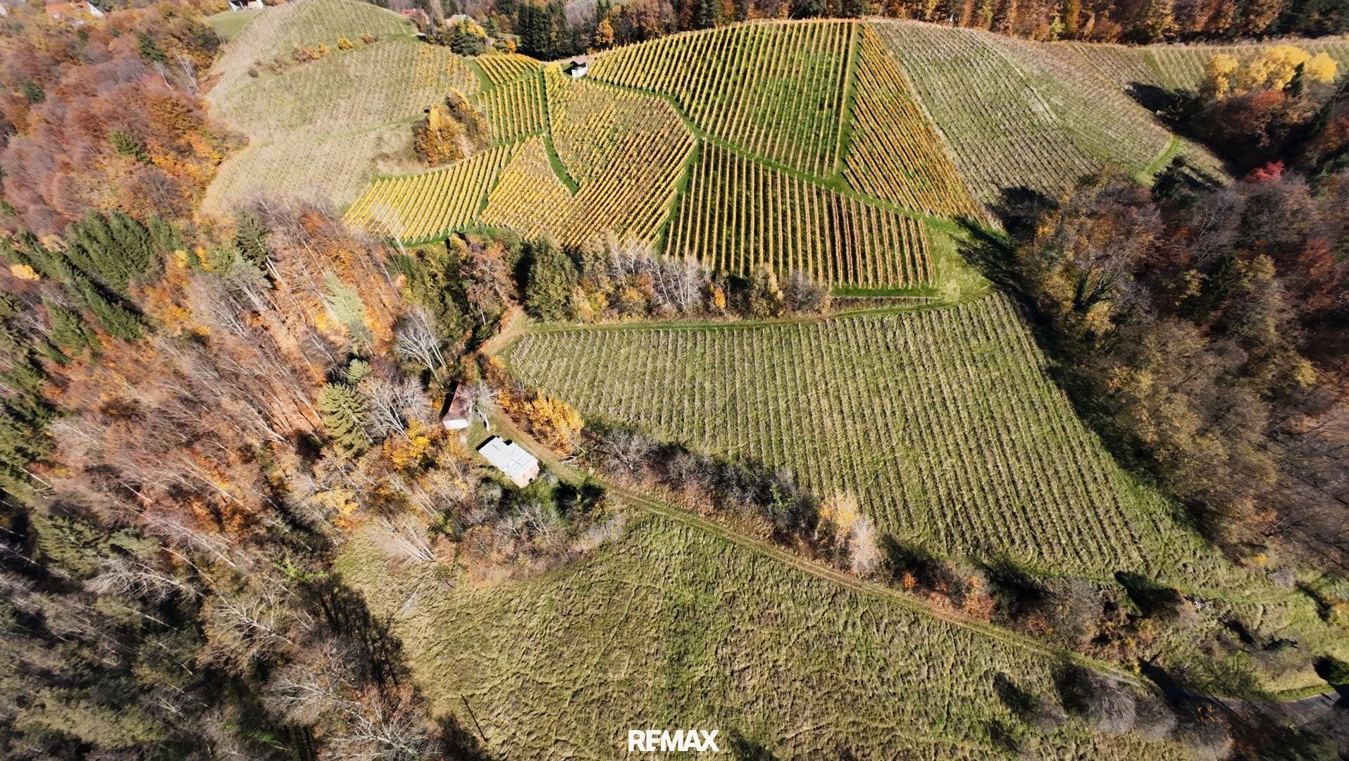 Abverkauf !! Weingarten mit Landwirtschaft in Kranach, Gemeinde Gamlitz zum Schnäppchenpreis( ZONE III ) - Ansicht 5