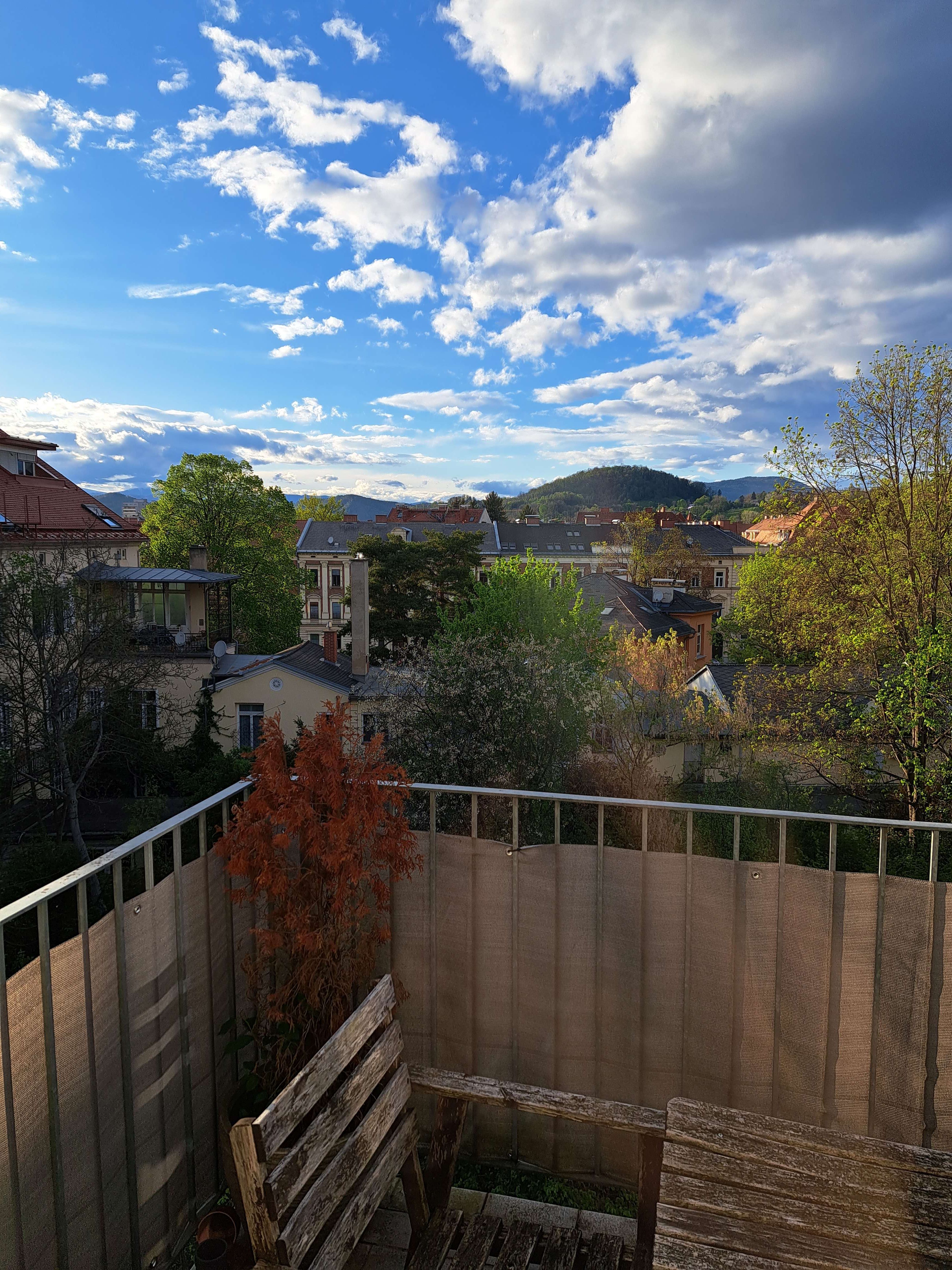 57m² sanierte 1-Zi-Altbauwohnung beim Stadtpark mit 10 m² Terrasse in begrünten Innenhof