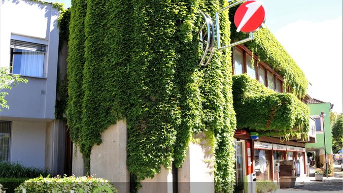127585_Strassenansicht.jpg