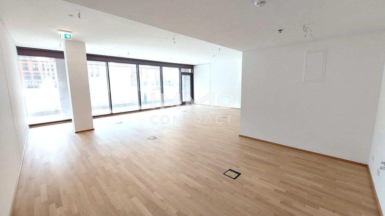 TrIIIple: Büro, Atelier, Ordi - flexible Gestaltungsmöglichkeiten (Neubau-Erstbezug) samt Annehmlichkeiten
