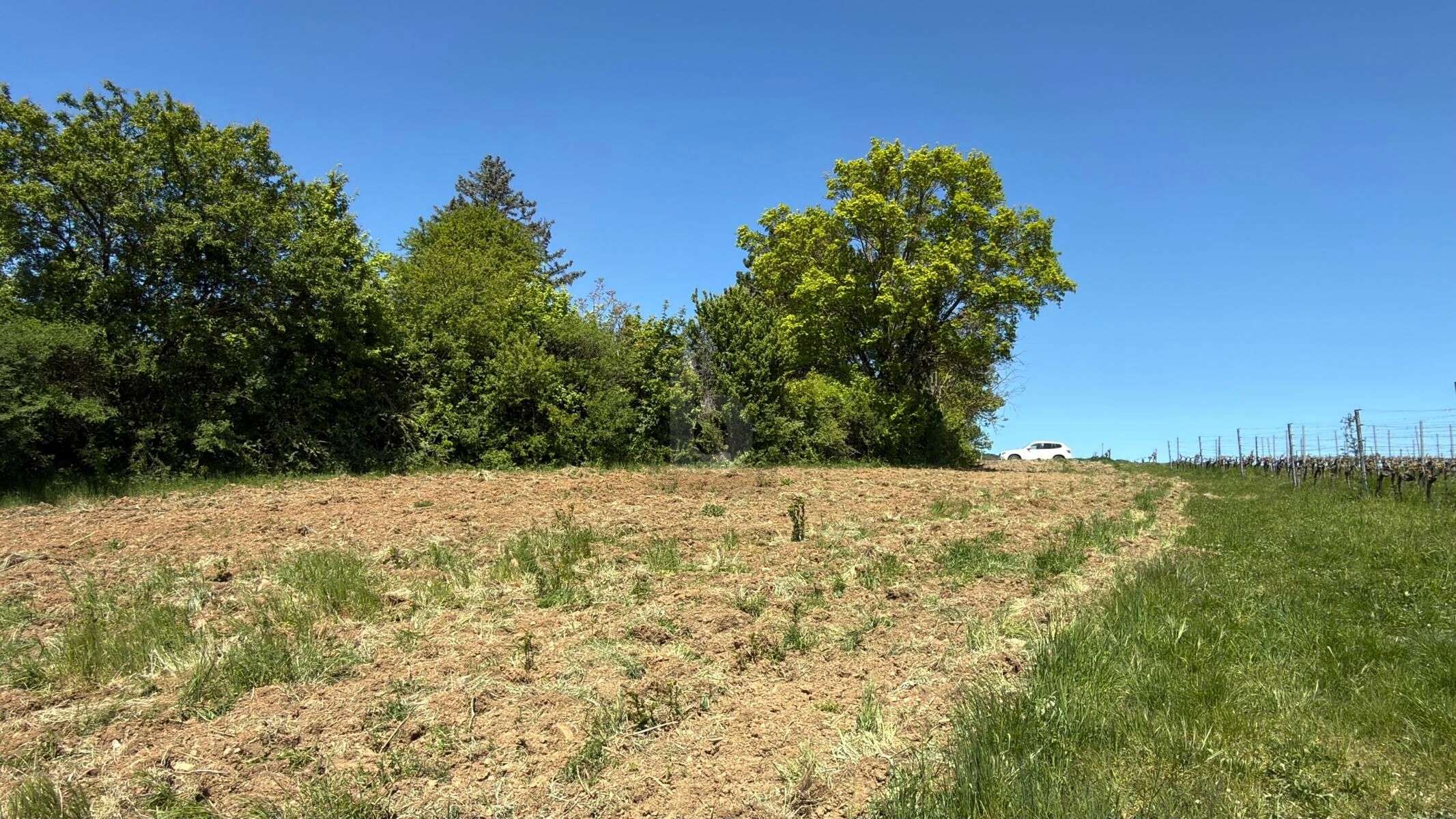 FÜR LANGFRISTIGE ANLEGER IN ORTSRAND-RUHELAGE MIT TOP PANORAMA - Ansicht 3