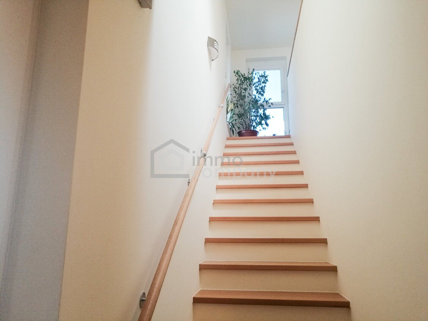 Haus – Zwölfaxing - Mehr