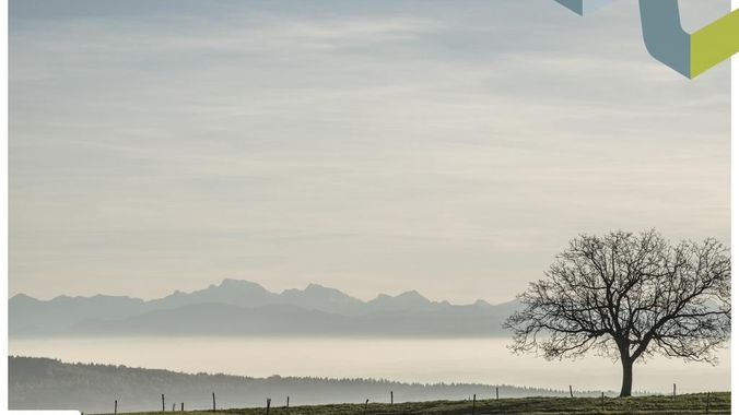 Umgebung Koglerau oberhalb der Nebelgrenze!