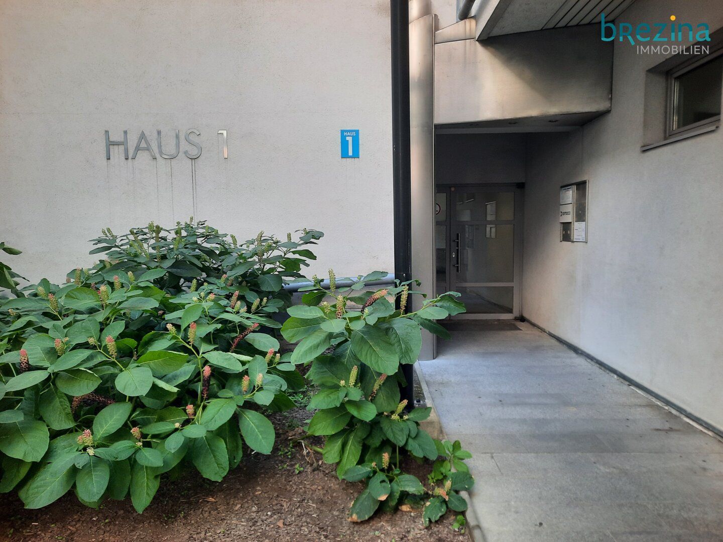 eine geniale kleine Stadtwohnung mit vielen Nutzungsmöglichkeiten