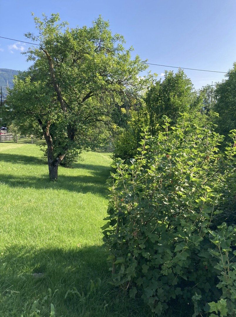 Baugrundstück aktuell noch Zweitwohnsitzwidmung! Sonnige Aussichtslage in Aigen im Ennstal - Ansicht 5
