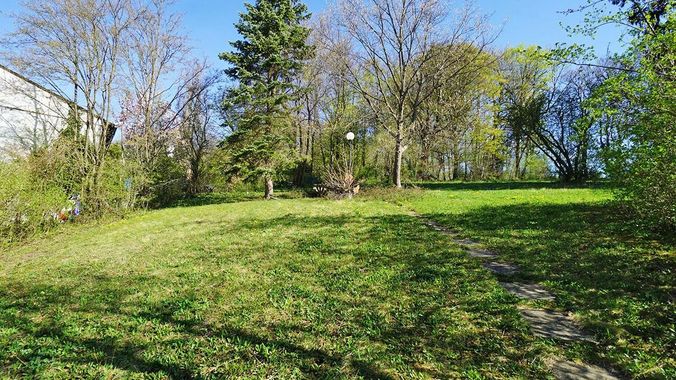 Allgemeingarten
