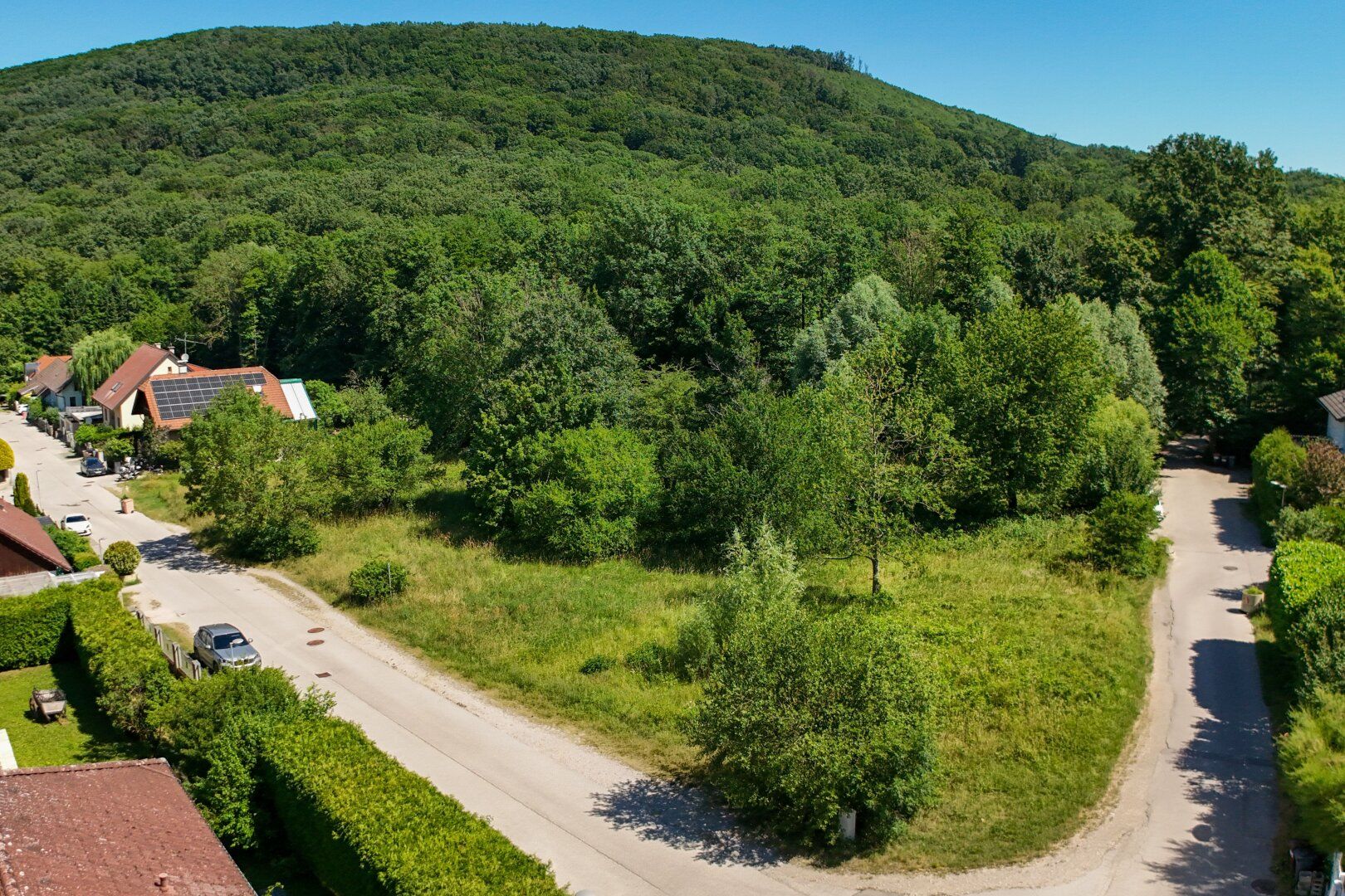 Wohnen, wo der Wienerwald beginnt - sonniger Baugrund in Purkersdorf-Baunzen - Ansicht 2