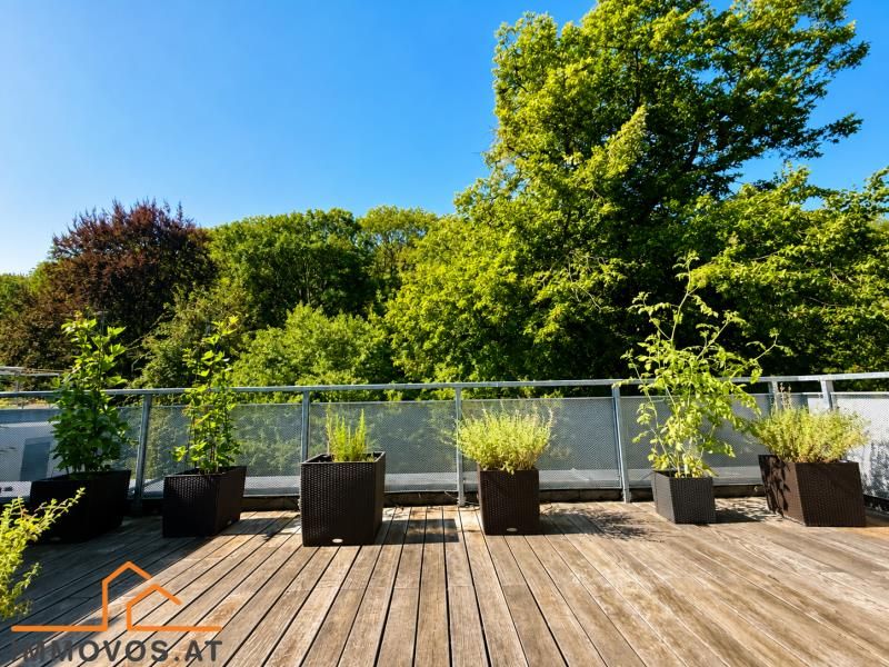 Wohnung – Wien 17.,Hernals - Ansicht 3