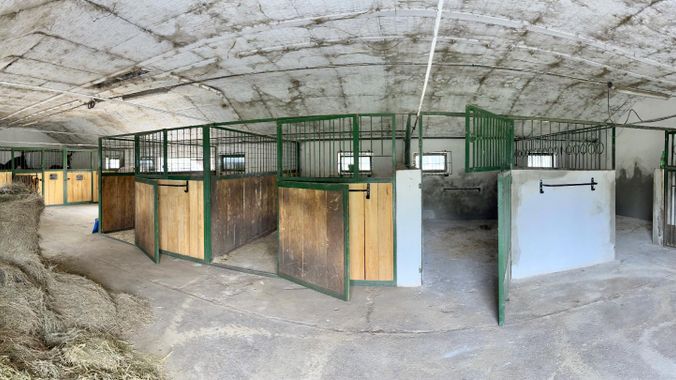 Pferdestallungen