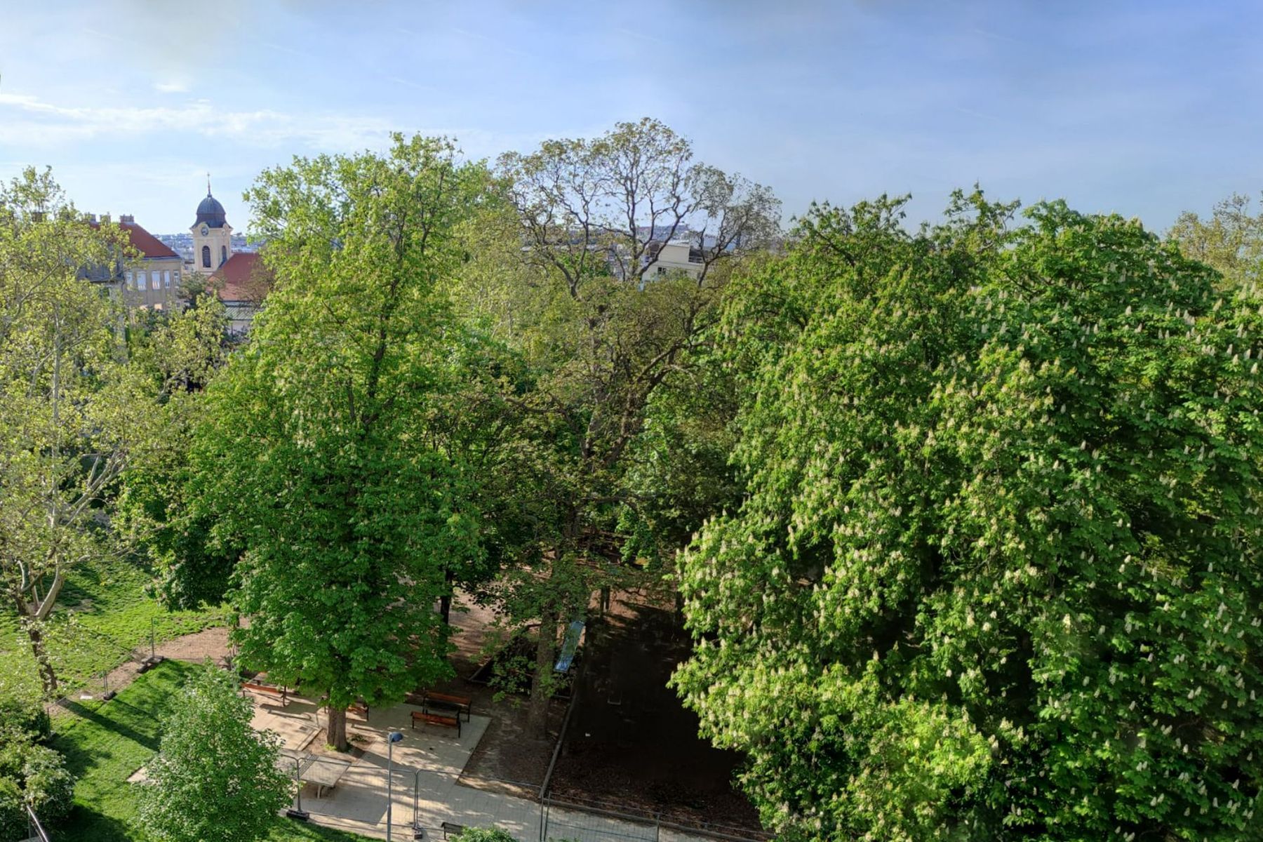 Urban und grün: Helle 5-Zi.-Whg. mit wunderschönem Parkausblick