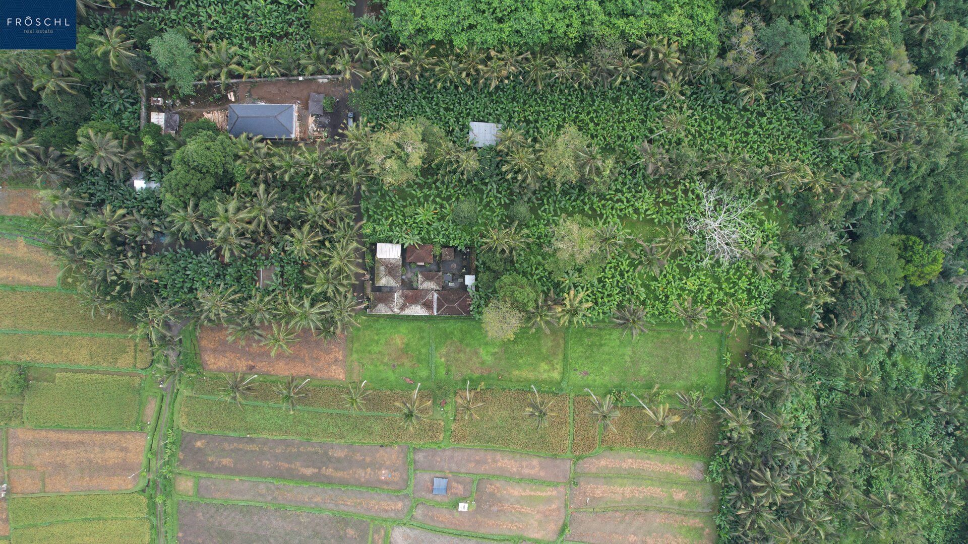 Ubud, Bali - Indonesien - 6.000 m² für Visionäre - Seltenes Freehold-Grundstück mit Tourismuswidmung - Ansicht 4
