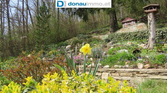 3573 Rosenburg: Naturliebhaber aufgepasst - Landhaus mit großem Grundstück