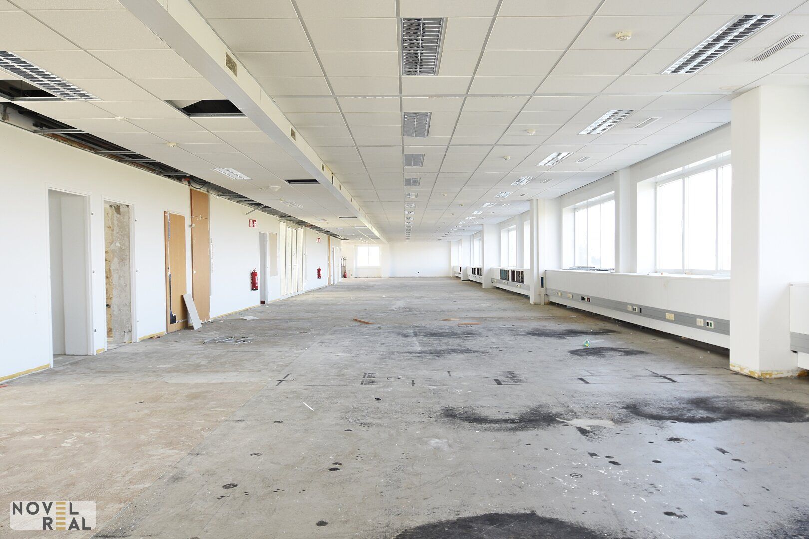 Moderne Gewerbefläche in Wiener Neudorf