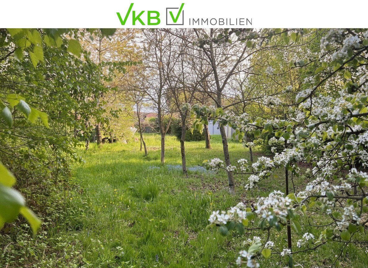Großzügiges Grundstück nähe Gallneukirchen! - Gemeinde Alberndorf in der Riedmark (GST 2443/1) - Ansicht 3