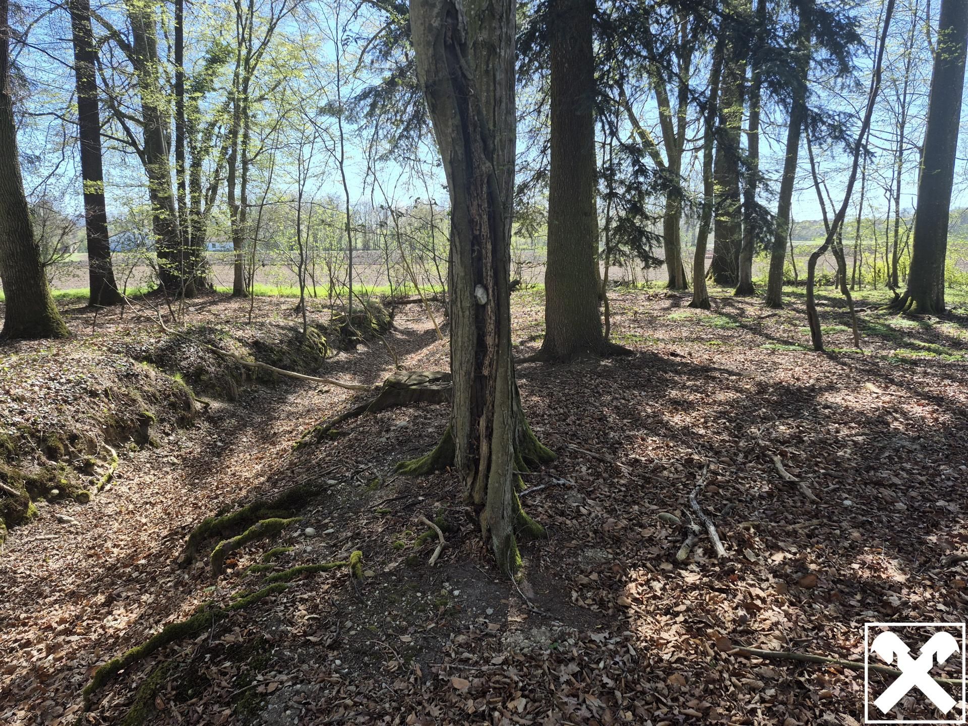 landwirtschaftlicher Grund mit Wald - Ansicht 5