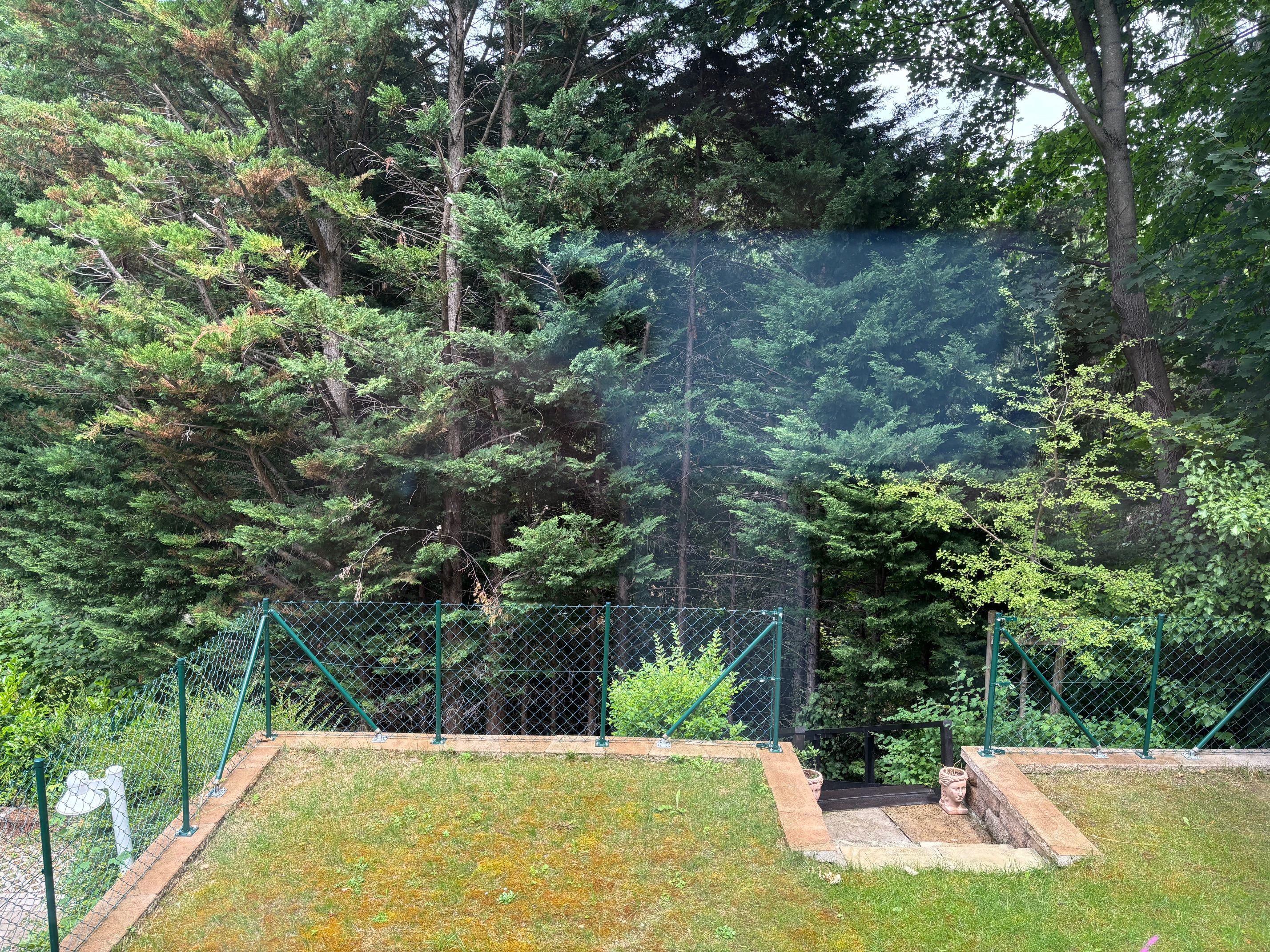 Wohnen in Bestlage von Neustift am Walde