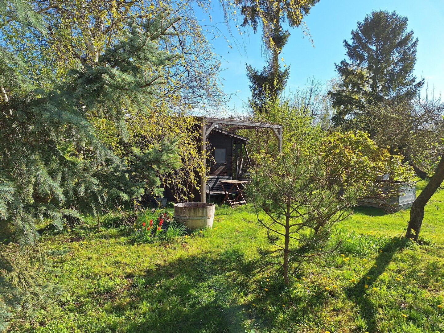 Haus – Wien, Hirschstetten - Mehr