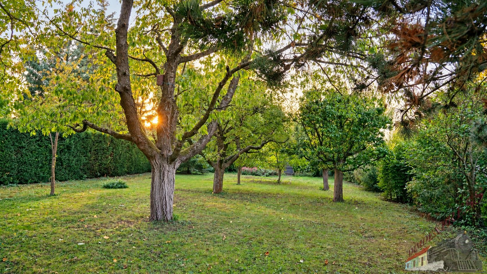 BAUGRUND MIT GARTENCHARAKTER - 781 m² IN WULLERSDORF - Ansicht 2