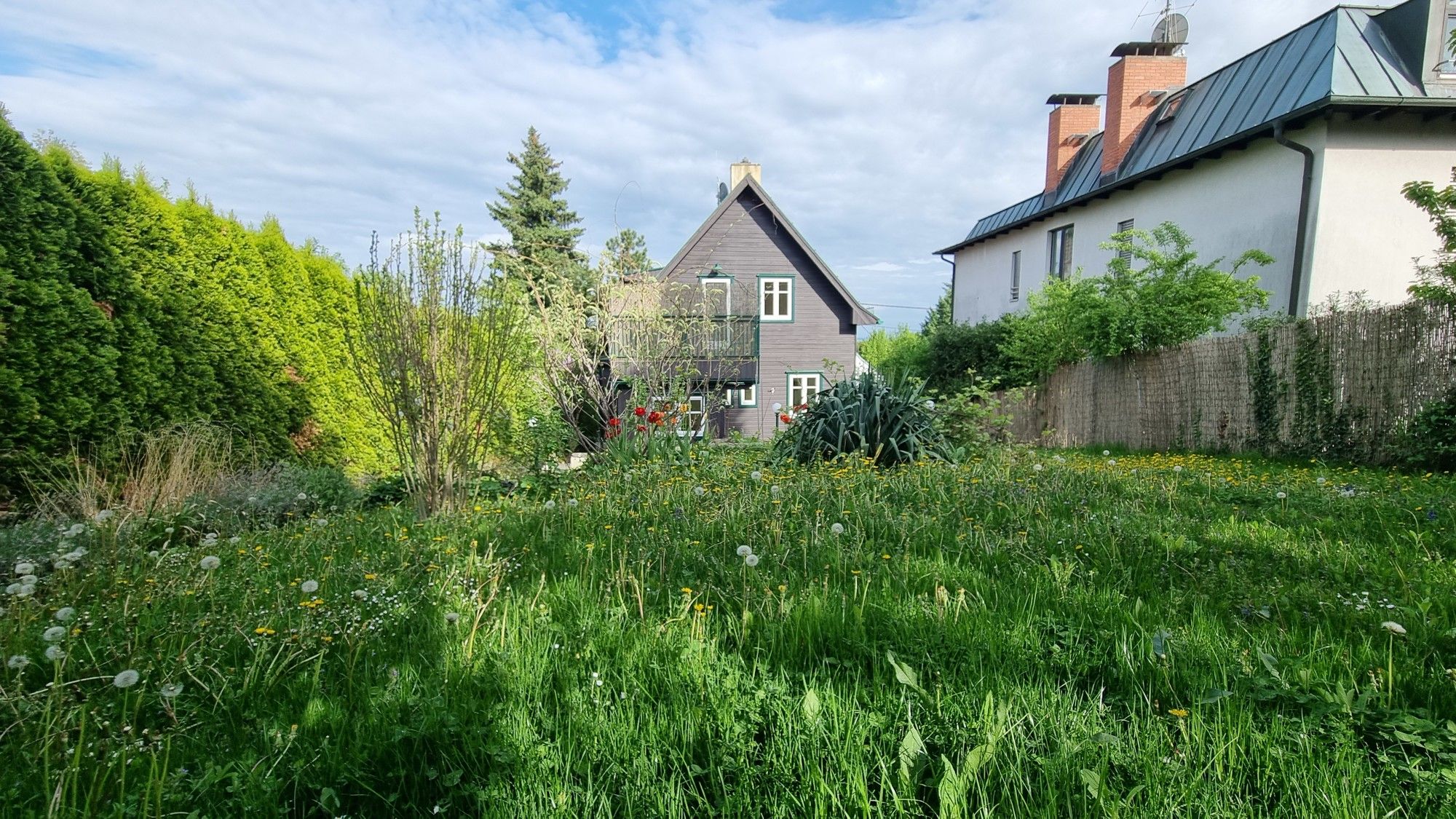 Besonders charmantes Häuschen mit Garten zur Miete