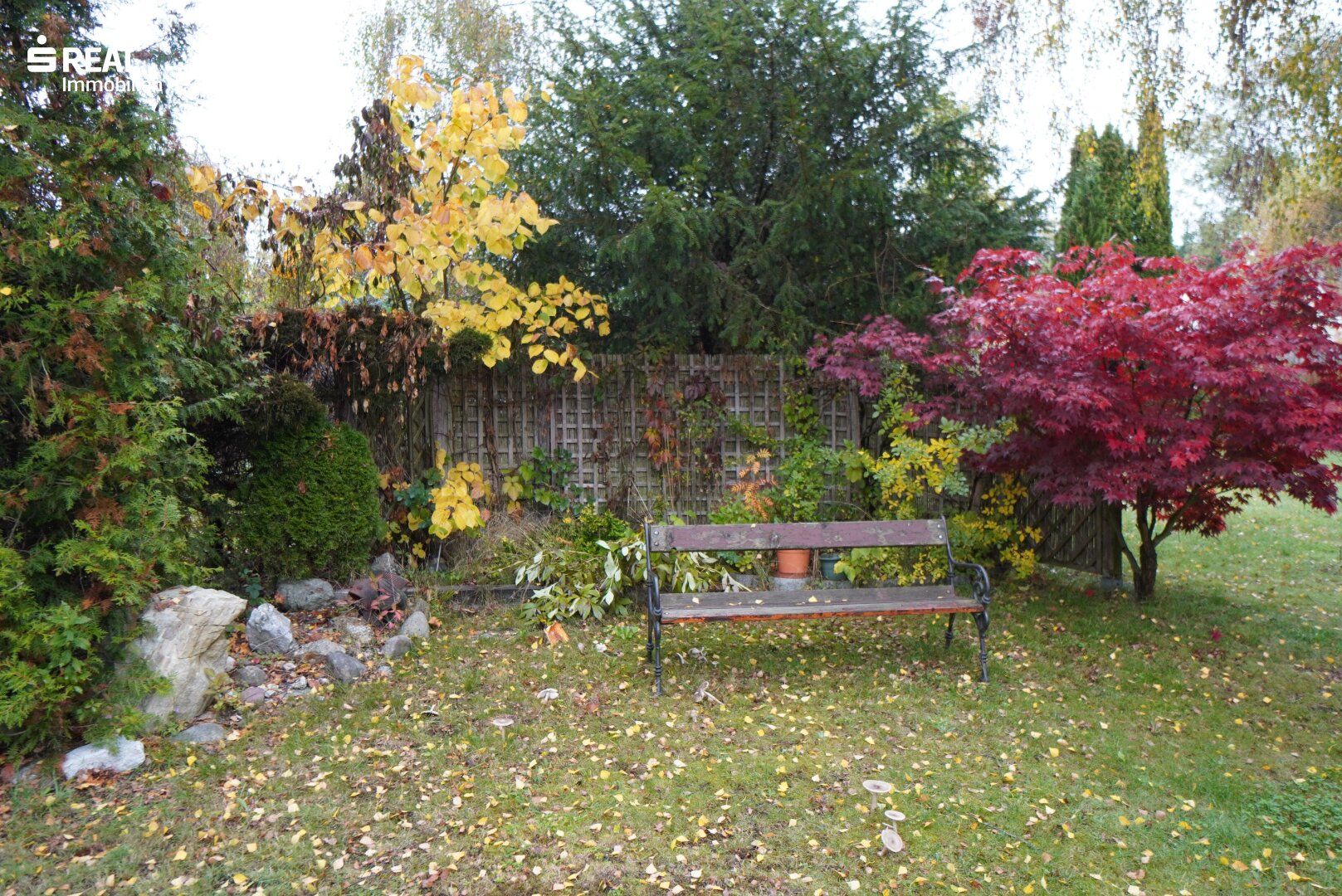 Bungalow in Siedlungsrandlage mit sensationellem Garten und Sauna-Bereich - More