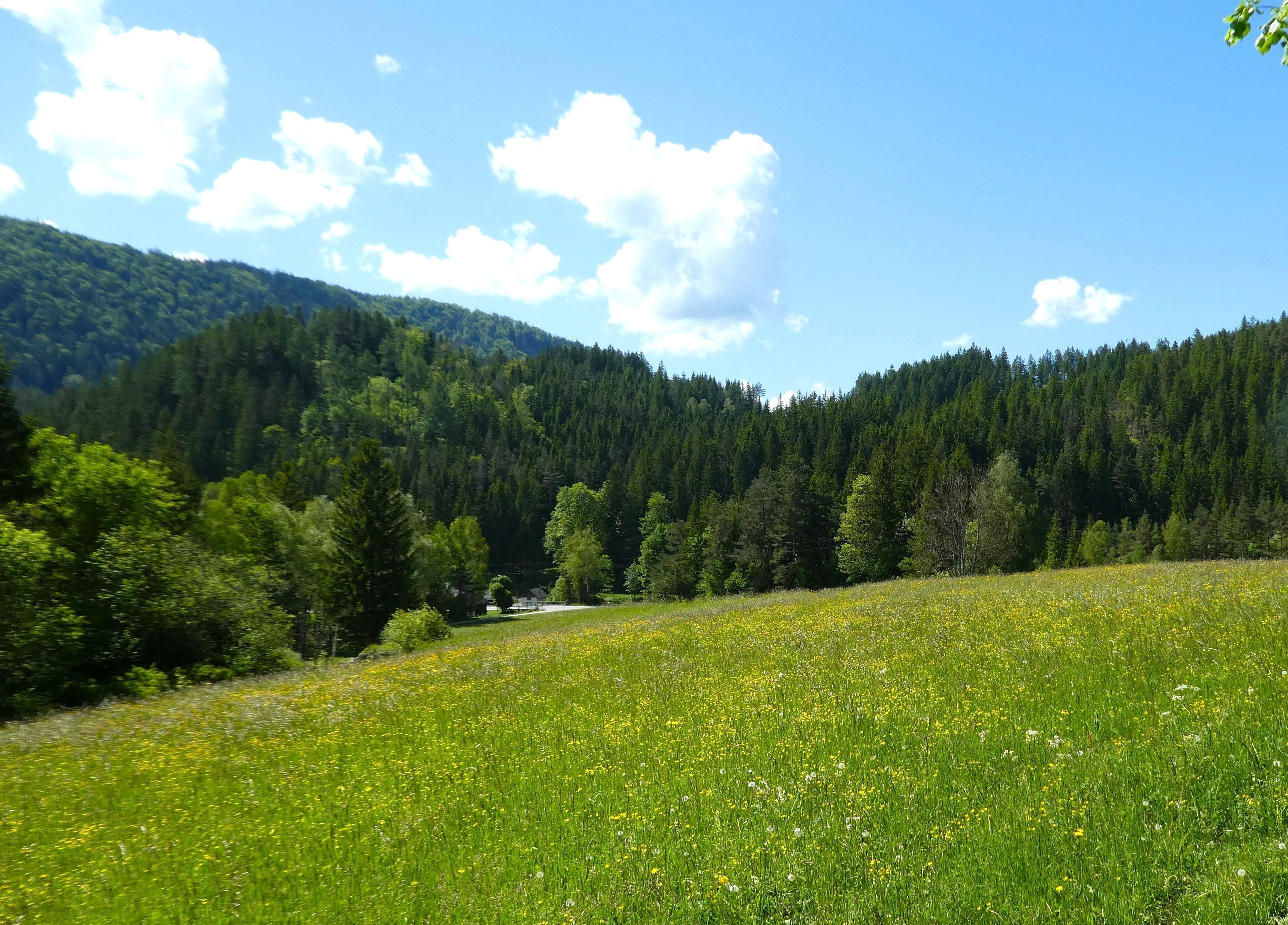Traumhafte Liegenschaft im Schneeberg-/Raxgebiet, 15.000 m² Eigengrund (Bau-/Grünland) - Ansicht 2