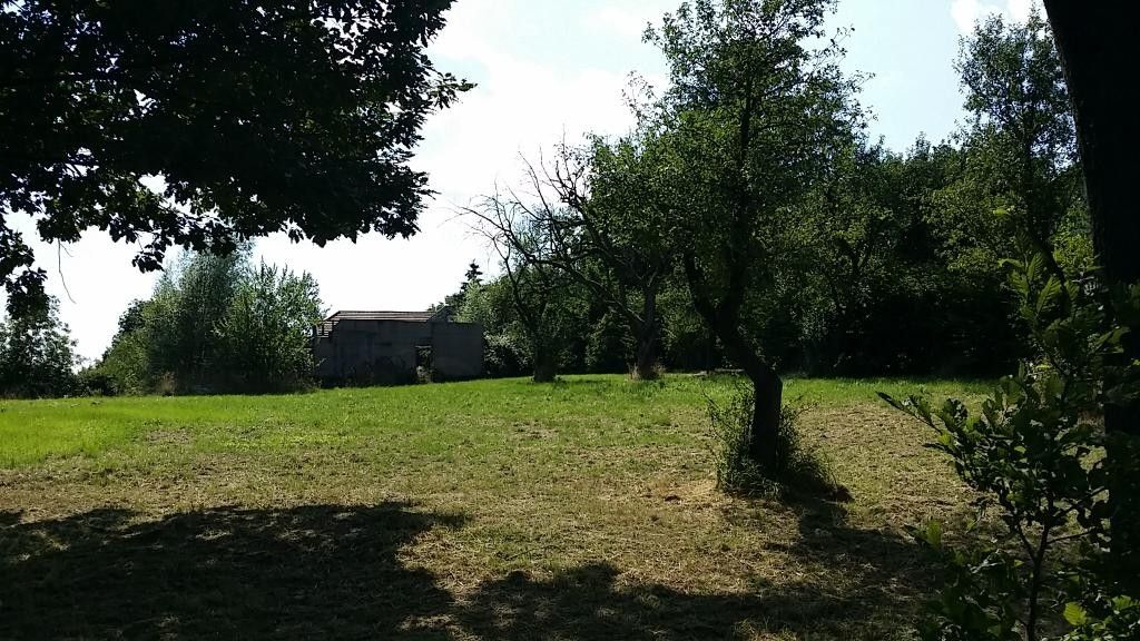 Grünland Tullnerfeld Aussichtslage - Ansicht 2