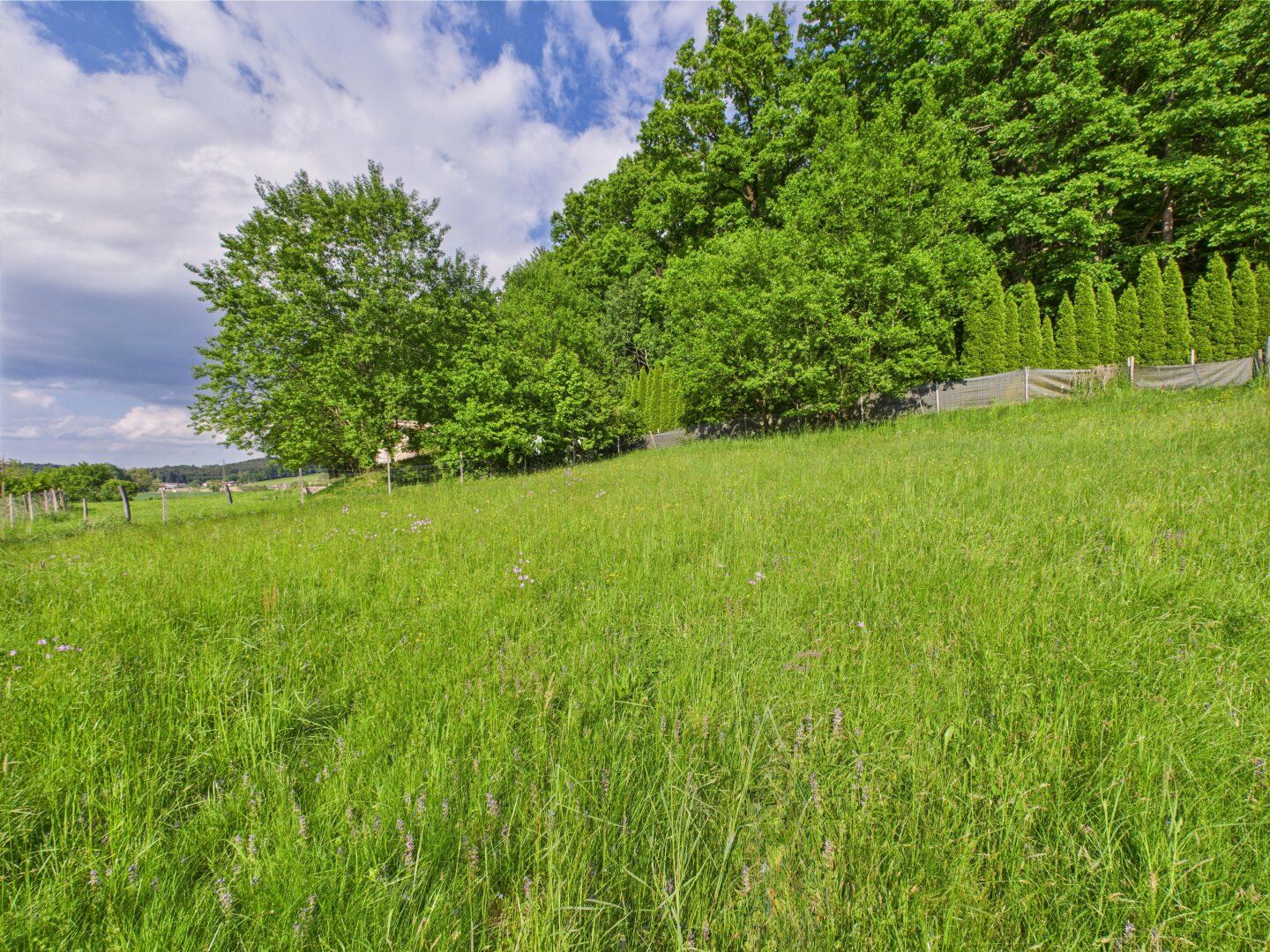 Oase der Ruhe mit Ausbaumöglichkeit - Grundstück für ein Leben im Einklang mit der Natur - Ansicht 4