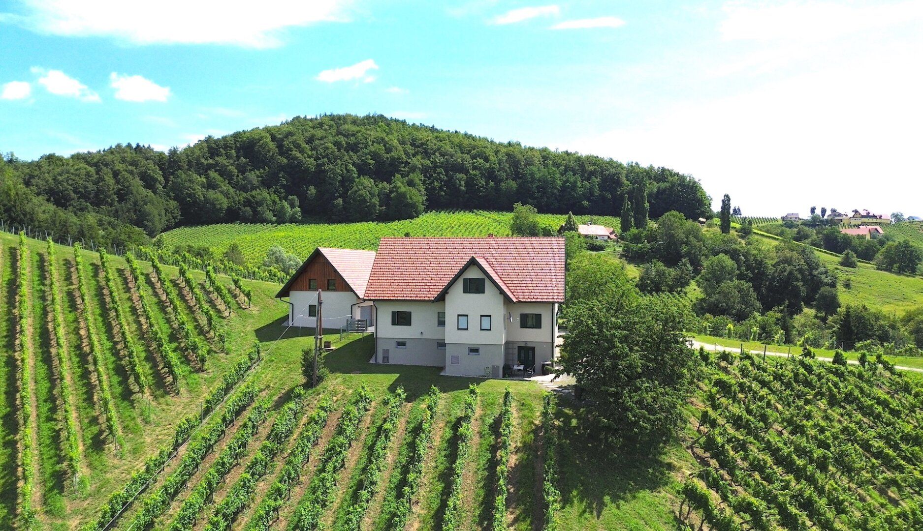 Haus – Leutschach an der Weinstraße - Ansicht 5