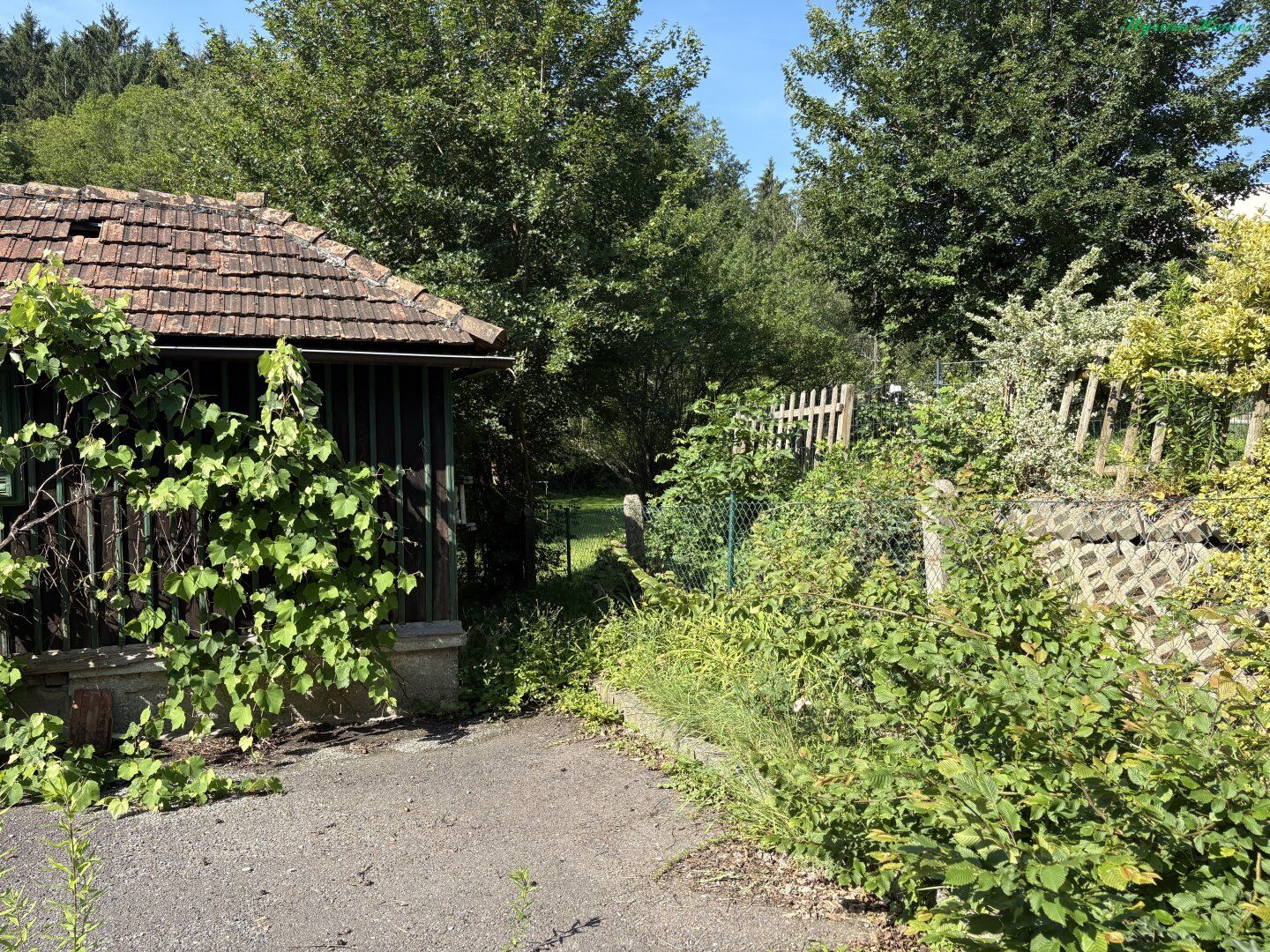 TOPLAGE in 8044 Graz-Mariatrost Grundstück 1812 m² mit ALTBESTAND Sonnenlage Nähe Basilika - Ansicht 2