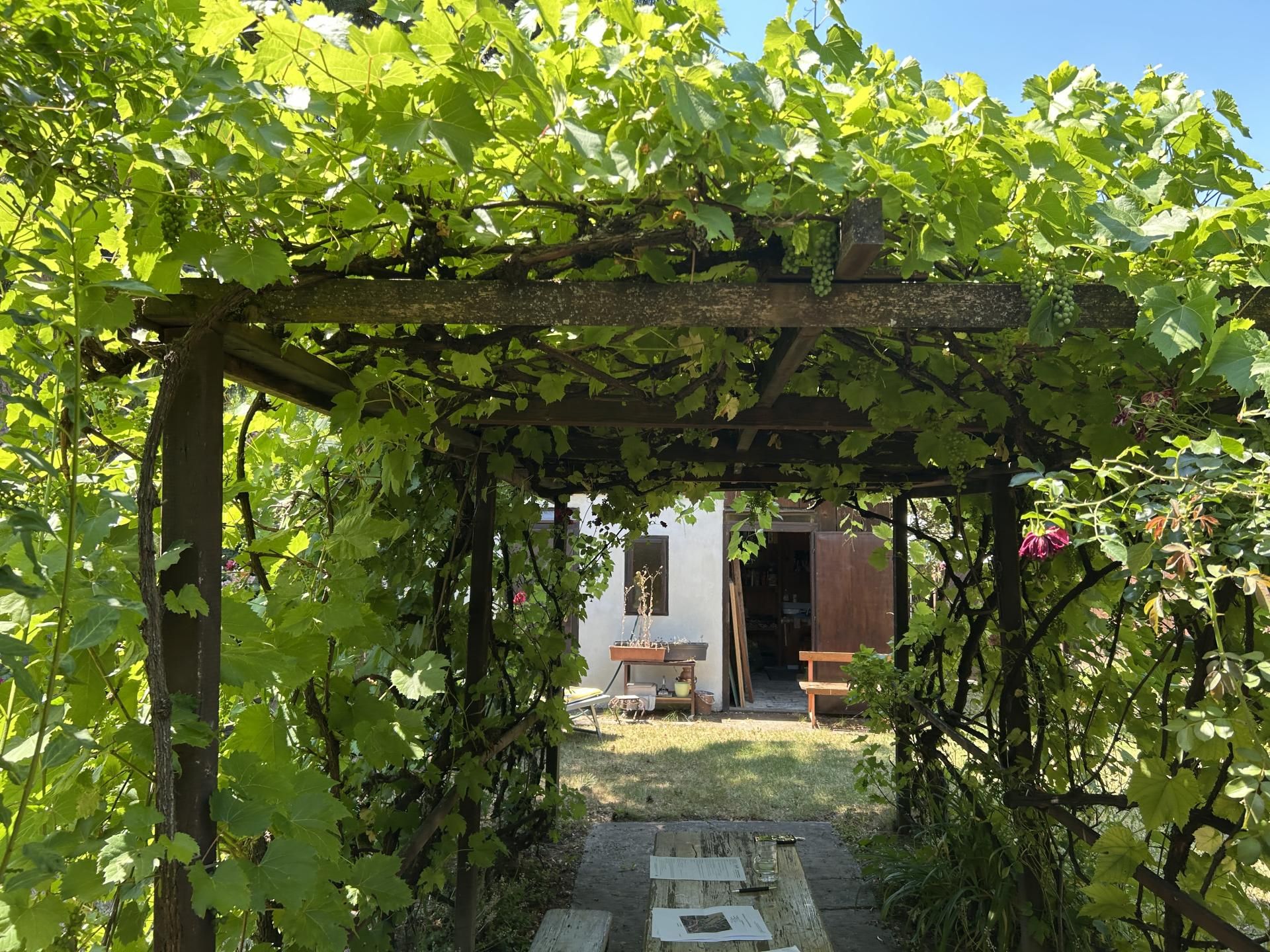 Sommerhaus im Weinviertel im schönen Kreuttal