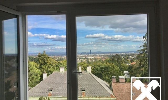 Blick über Wien