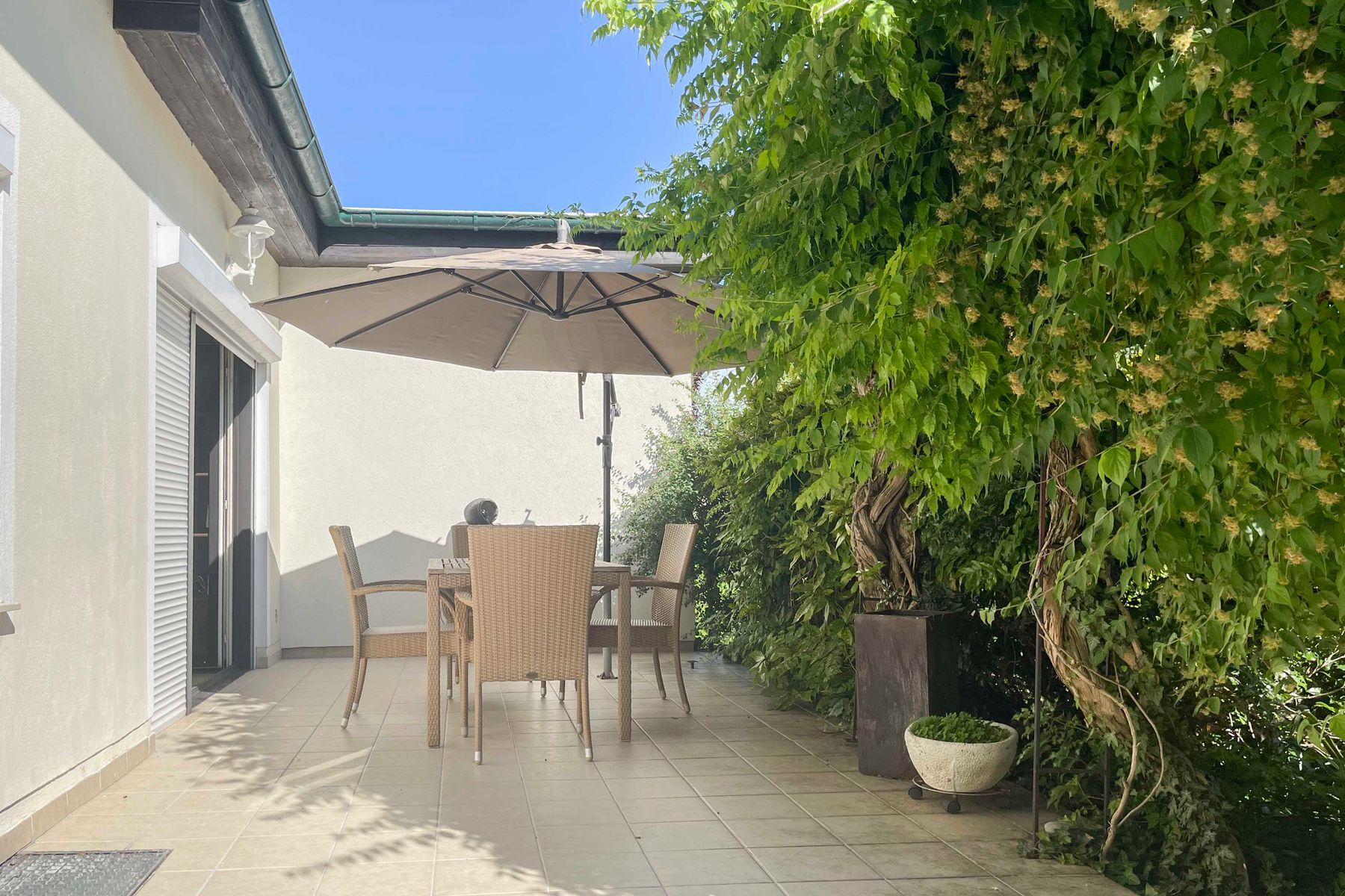 Charmantes kleines Wohnjuwel in Ruhelage in Baden bei Wien
