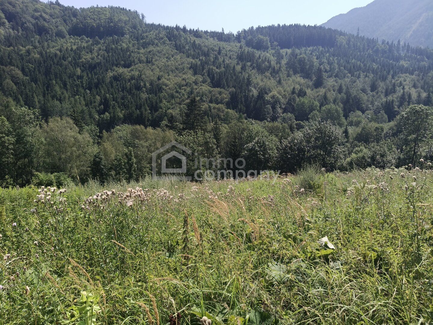 Traum-Baugrund in Semmering-Kurort, 1272m² - Ansicht 2