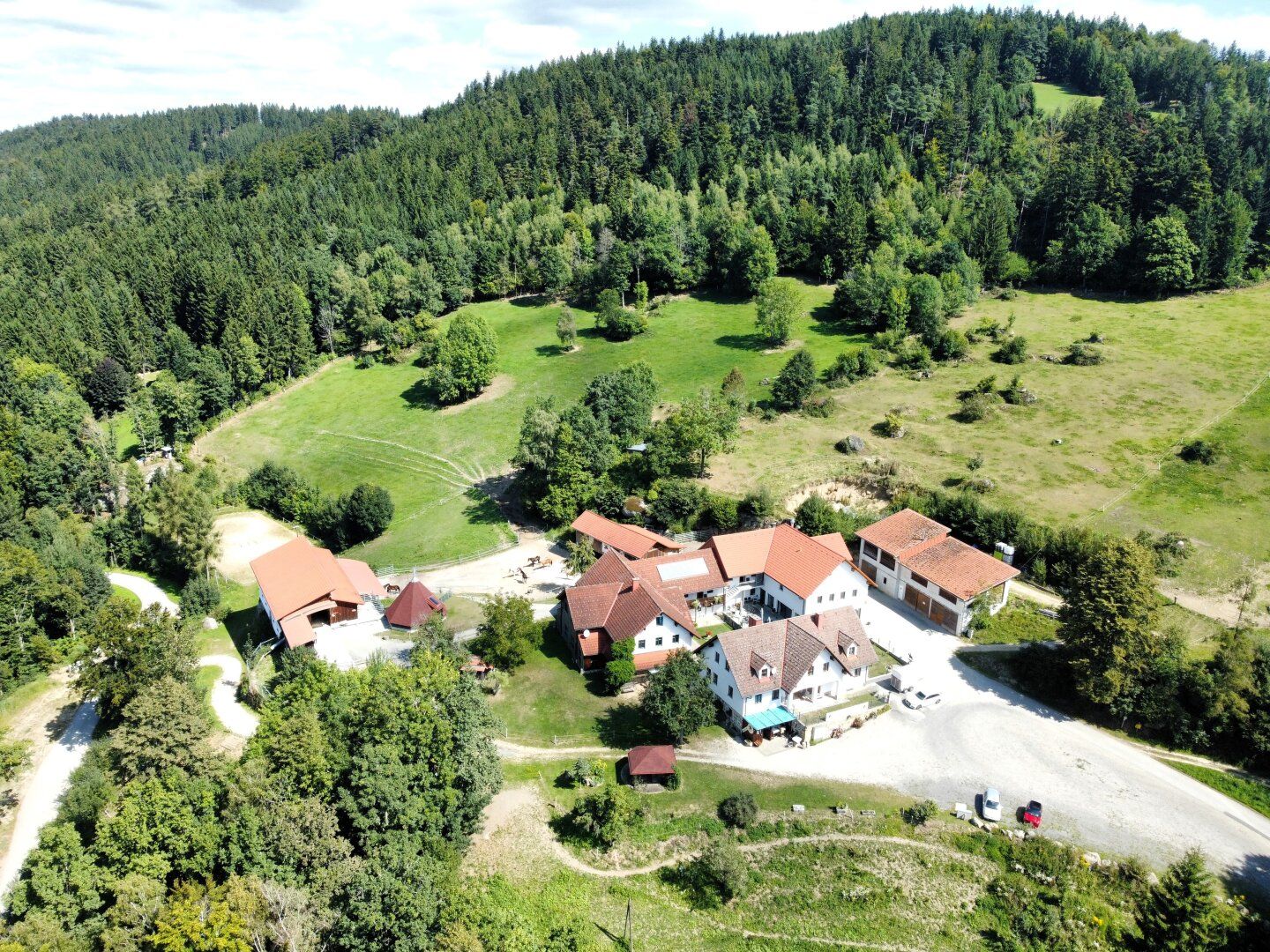Traumanwesen für Pferdeliebhaber in Alleinlage mit ca. 13 ha - Wanderreiten im Pferdereich Mühlviertler Alm !! - Ansicht 2