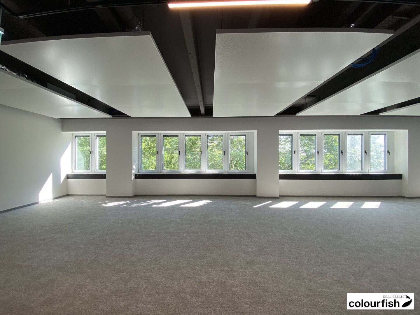 Moderne Bürofläche mit Terrasse - Mehr