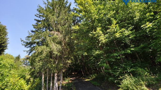 Idyllische und versteckte Zufahrt