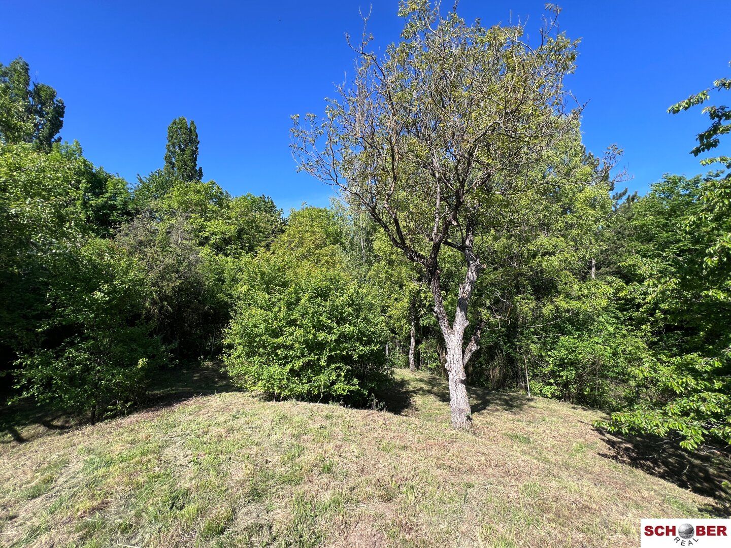 2.061 m² am Waldrand - Grundstück mit vielseitigen Möglichkeiten in Enzesfeld - Ansicht 2