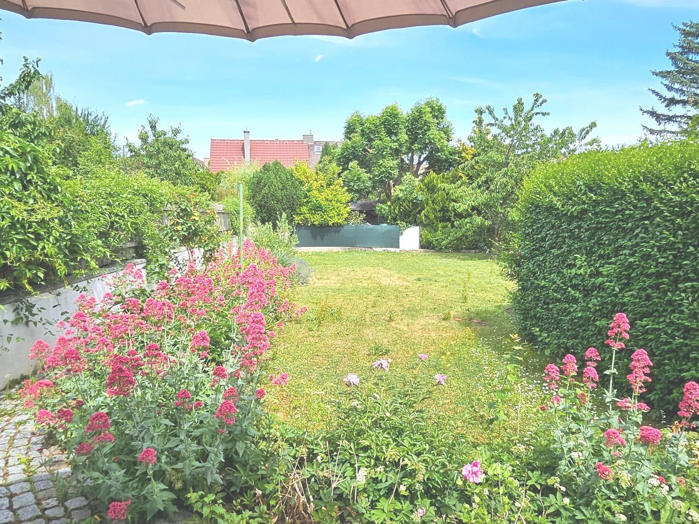 Haus – Enzesfeld - Ansicht 5