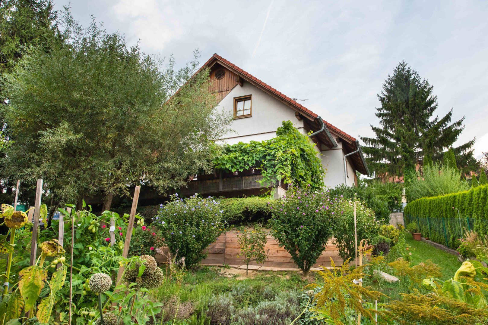 Einfamilienhaus mit idyllischem Garten und Blick ins unverbaubare Grüne