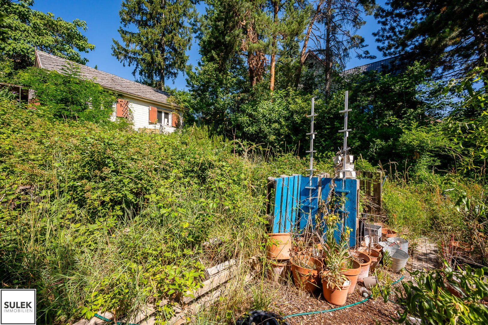 Rodaun: ca. 591 m² Grundstück mit Altbestand in begehrter Grünlage - Ansicht 4