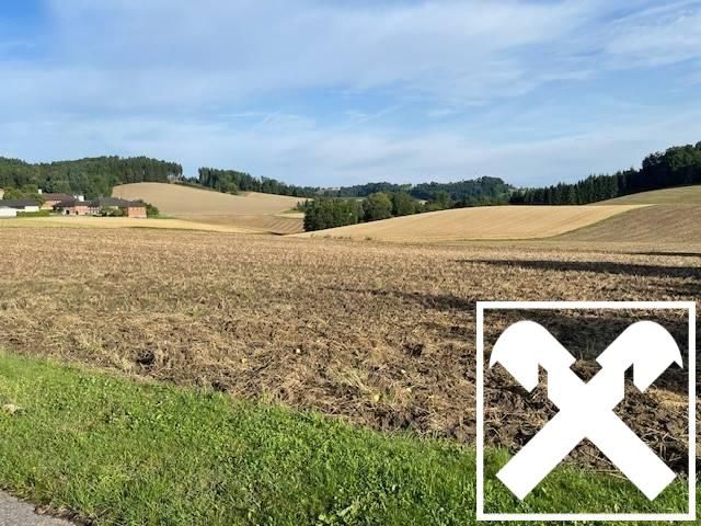 Baugrund in Naturlage mit Fernblick - Ansicht 5
