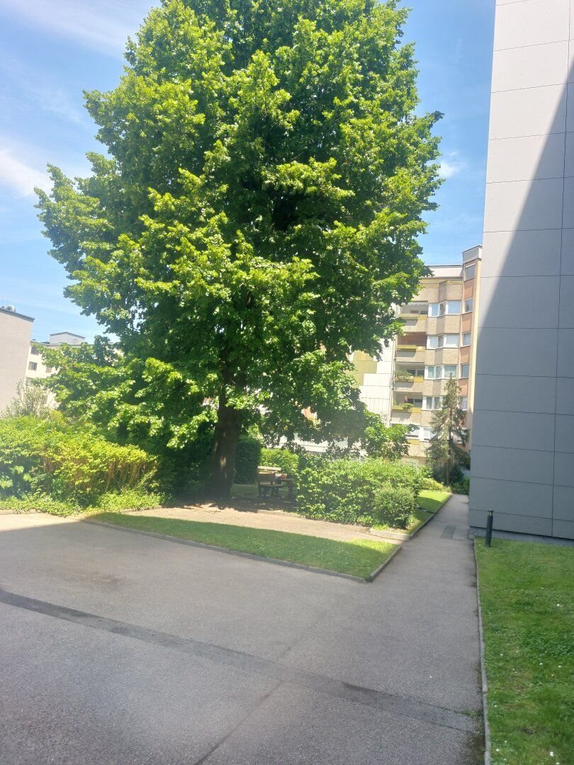 Wohnung – Wels - Ansicht 2