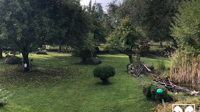Garten 3