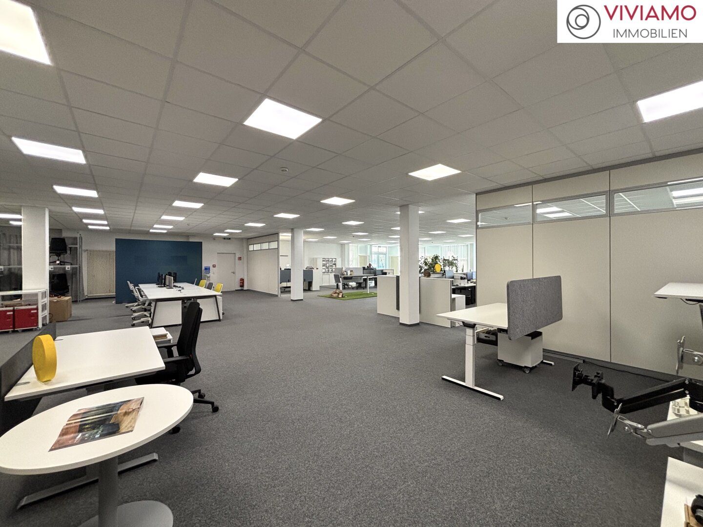 Großzügiges Gewerbe-Areal mit Büro- & Hallenflächen in Wels - ab 2.000 m² zu mieten - Ansicht 4