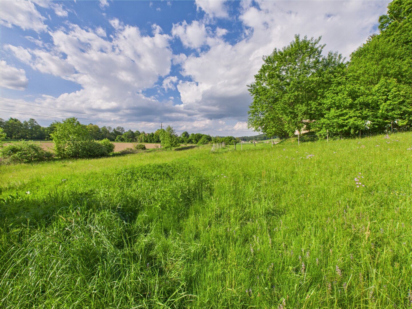 Oase der Ruhe mit Ausbaumöglichkeit - Grundstück für ein Leben im Einklang mit der Natur - Ansicht 5