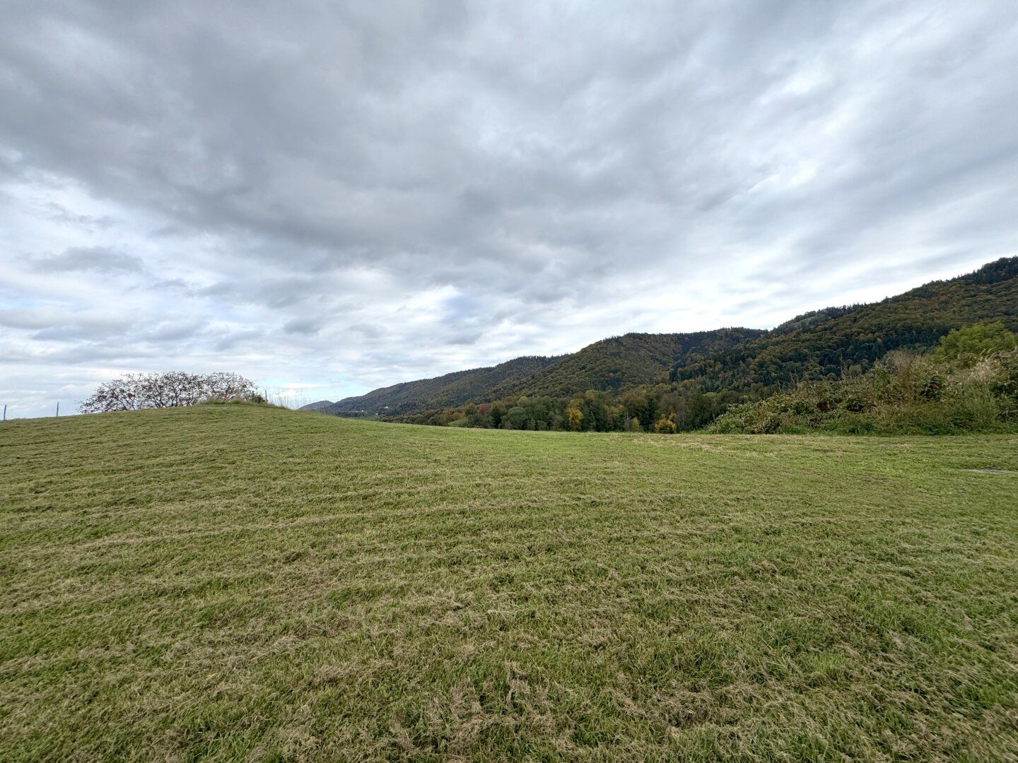 Ruhige Toplage mit sensationellem Panoramablick nahe Arnfels - Hardegg, ein Naturjuwel für Genießer, Familien & Investoren!