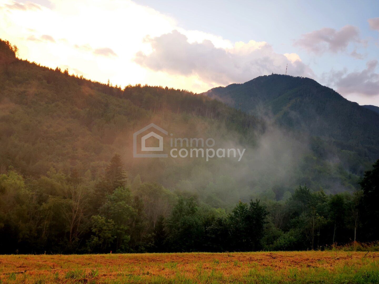 Traum-Baugrund in Semmering-Kurort, 1272m²