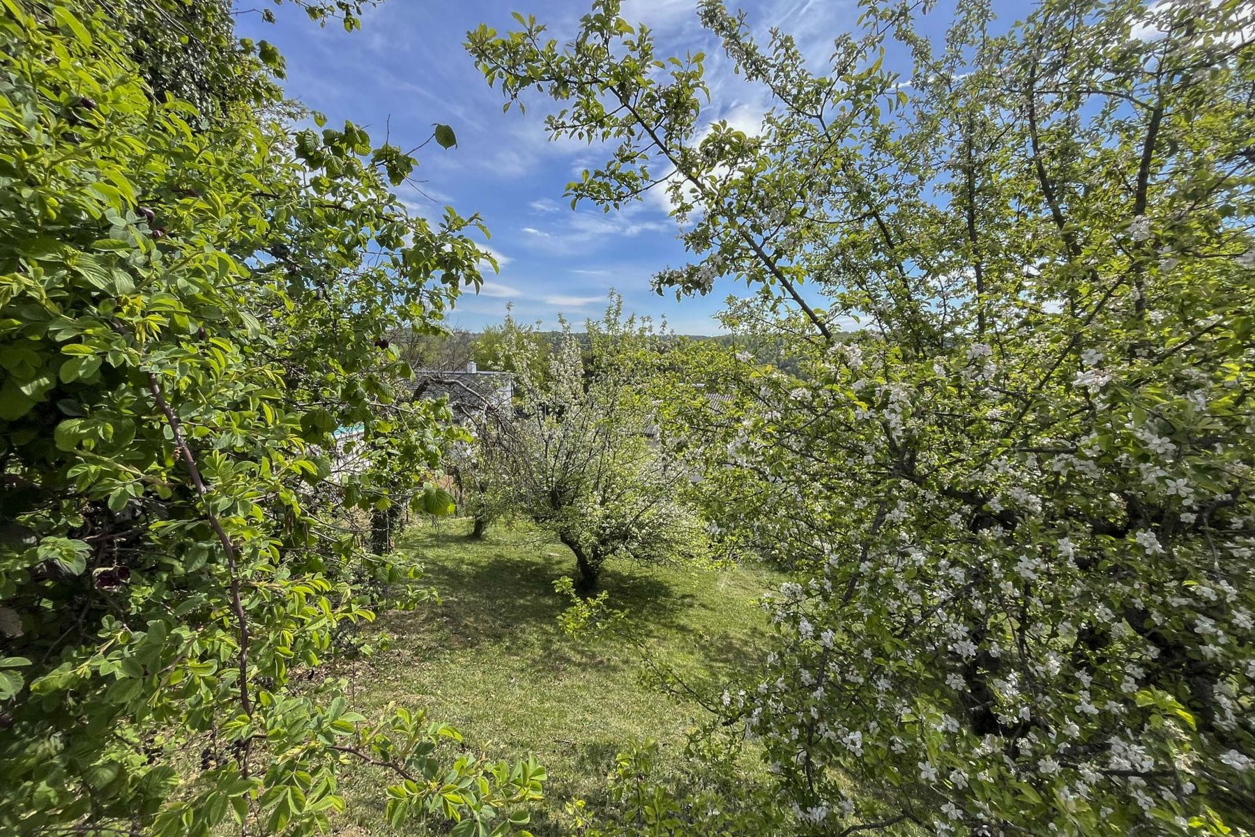 Sonniges und ruhiges Grundstück in Hanglage mit Fernblick!!! - Mehr