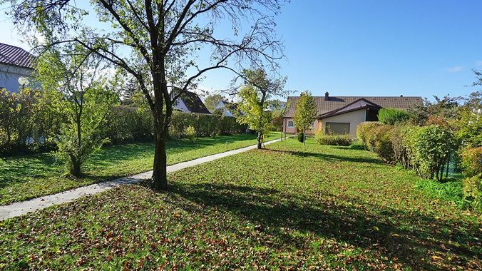 Garten Richtung Haus