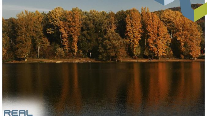 Pleschingersee im Herbst (nur 10min entfernt)